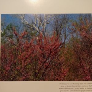 Meet your Posher, Bryce